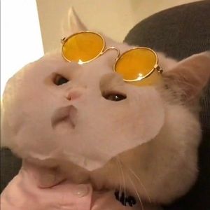 Meet your Posher, Natalie